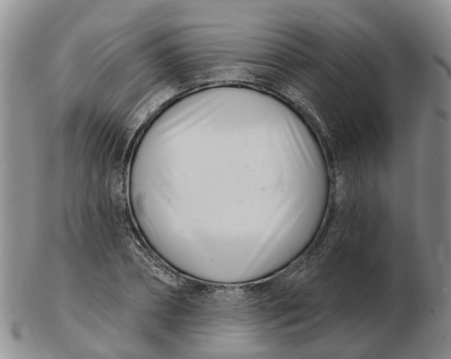 X0000103170882200809121858