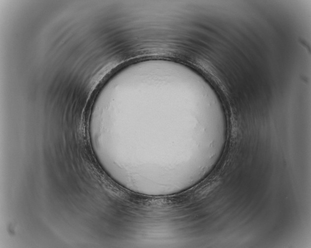 X0000103170883200809121858