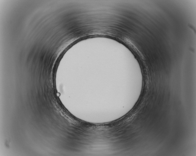 X0000103170884200809121858