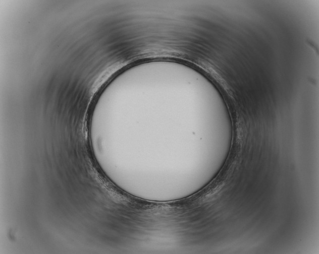 X0000103170885200809121858