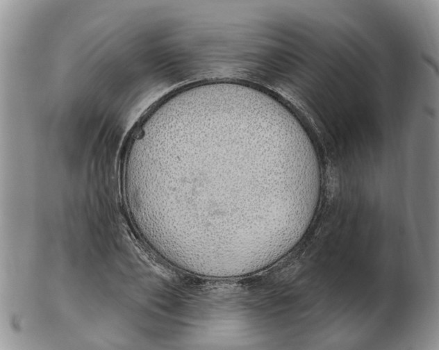 X0000103170886200809121858