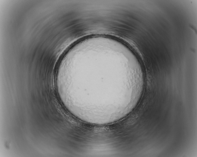 X0000103170887200809121858