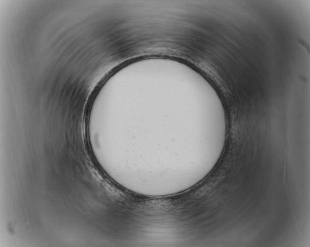 X0000103170888200809121858