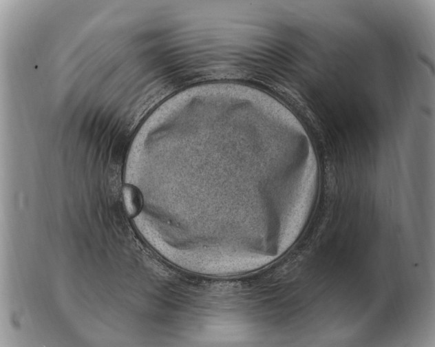 X0000103170889200809121858