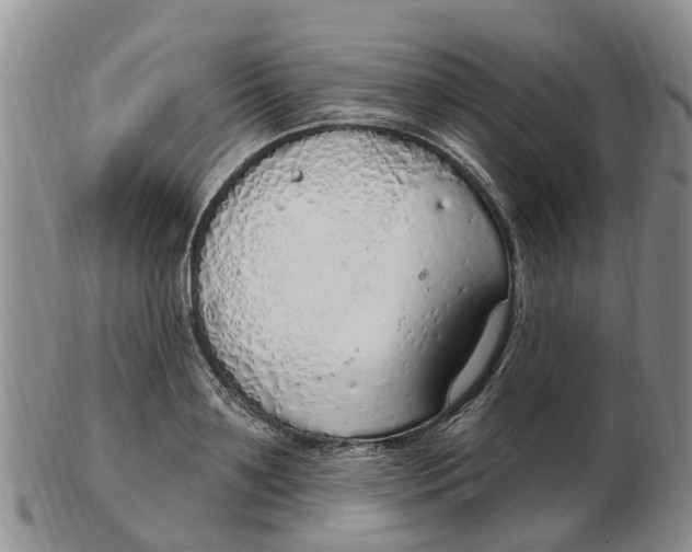 X0000103170891200809121858