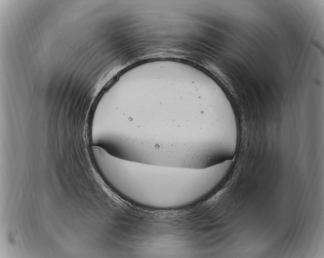 X0000103170893200809121858