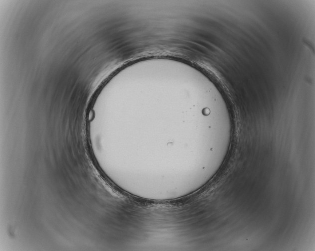 X0000103170894200809121858