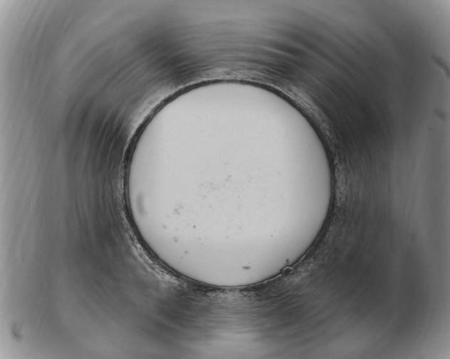 X0000103170896200809121858