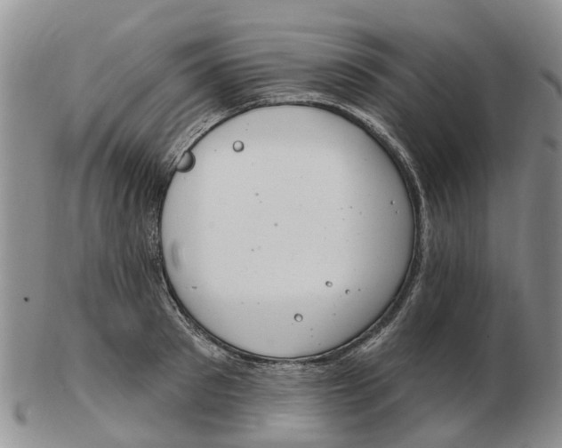 X0000103170897200809121858