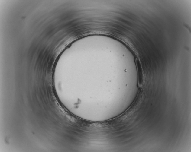 X0000103170898200809121858