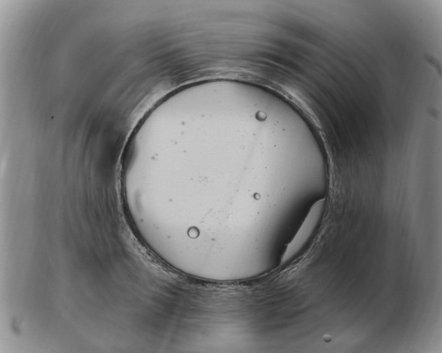 X0000103170899200809121858