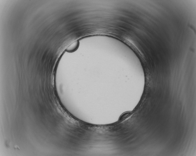 X0000103170900200809121858