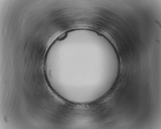 X0000103170901200809121858