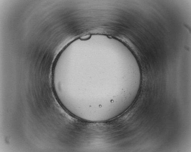 X0000103170902200809121858