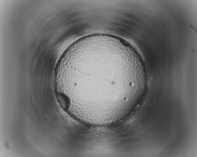 X0000103170903200809121858