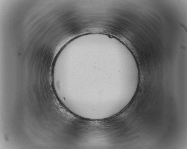 X0000103170904200809121858