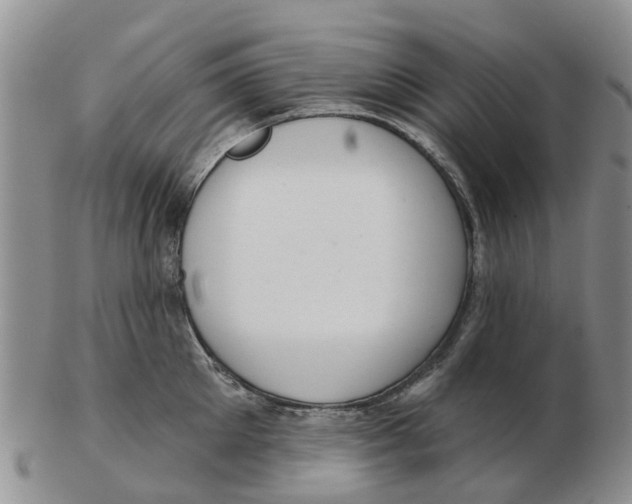 X0000103170905200809121858