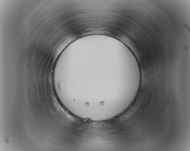 X0000103170906200809121858