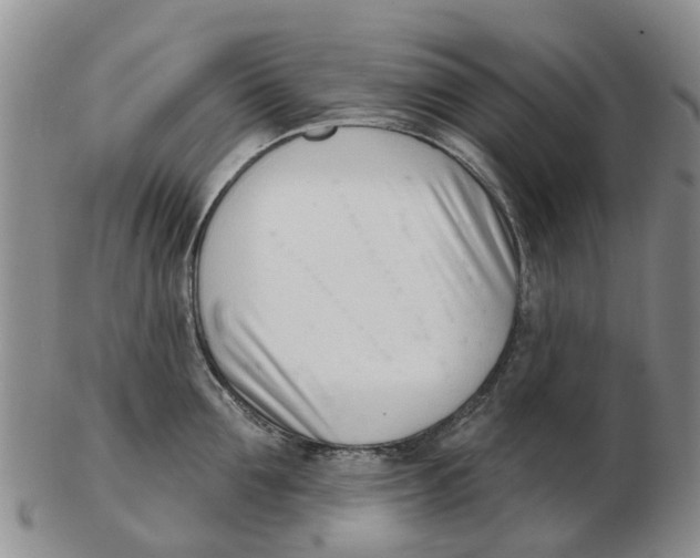 X0000103170907200809121858