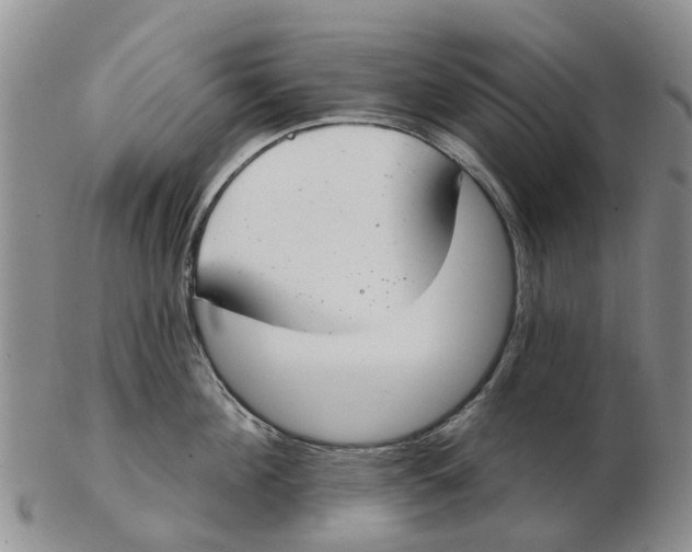 X0000103170908200809121858