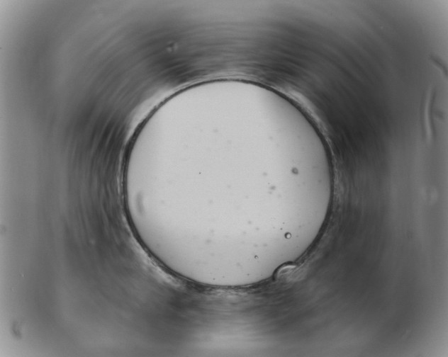 X0000103170910200809121858