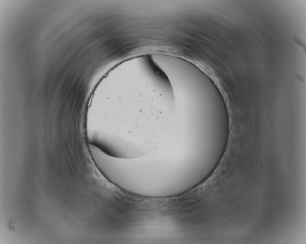 X0000103170912200809121858