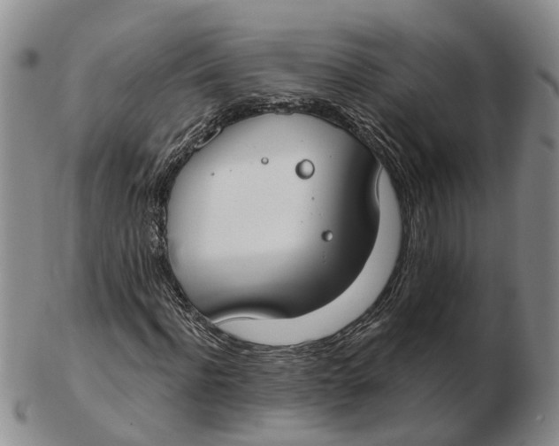 X0000103170916200809121857