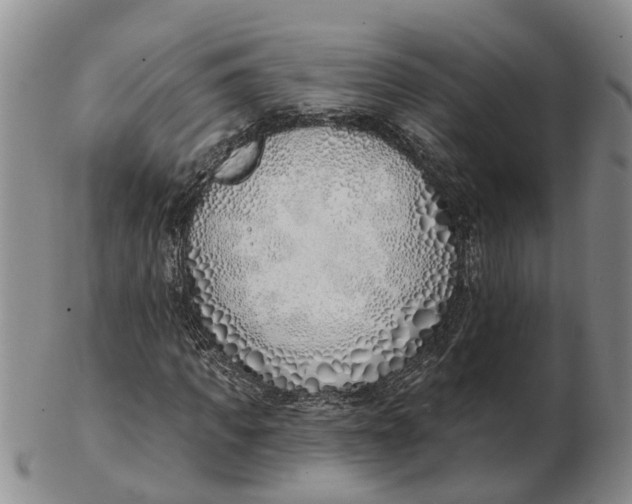 X0000103170917200809121857