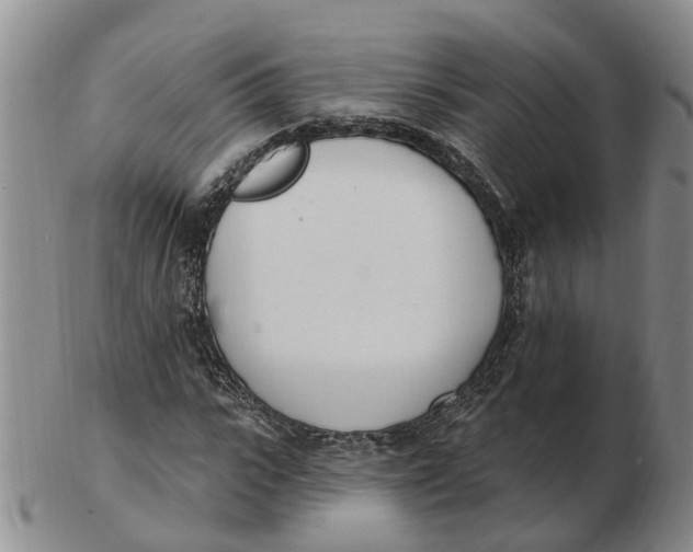 X0000103170919200809121857