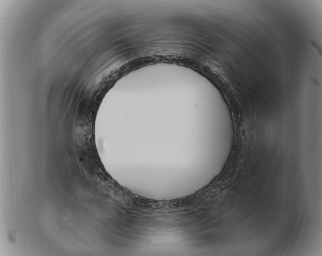 X0000103170920200809121857