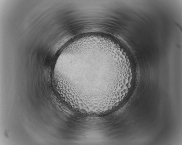 X0000103170921200809121857