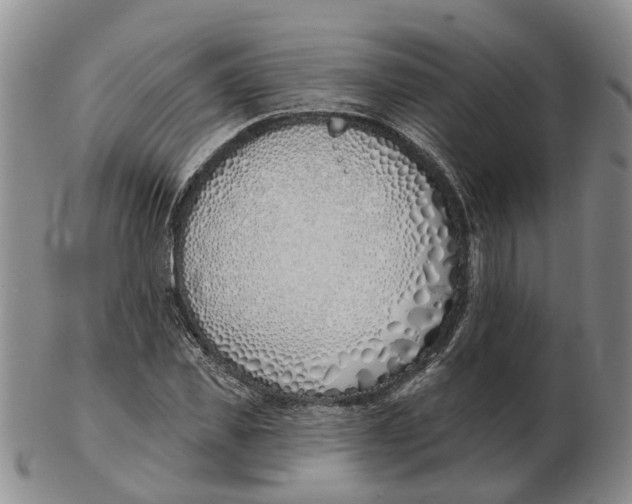 X0000103170925200809121857