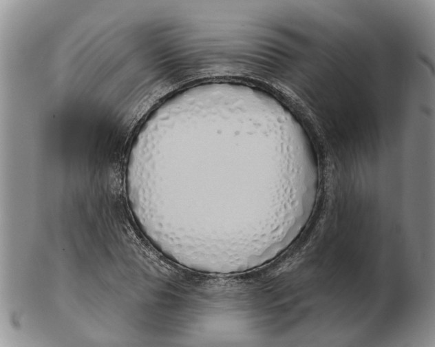 X0000103170929200809121857