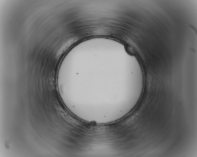 X0000103170930200809121858