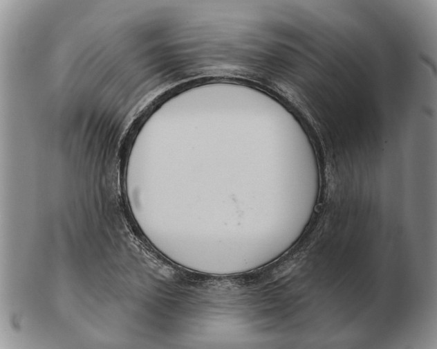 X0000103170931200809121858