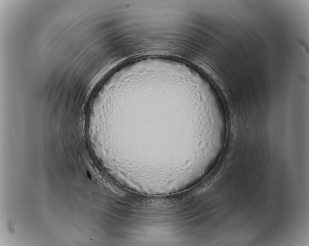 X0000103170933200809121858