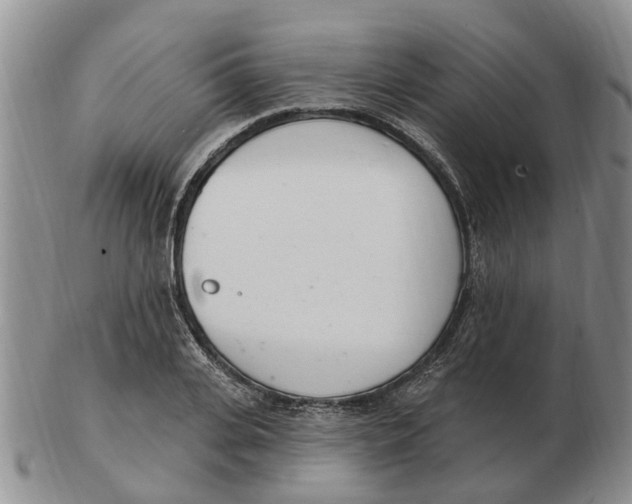 X0000103170935200809121858