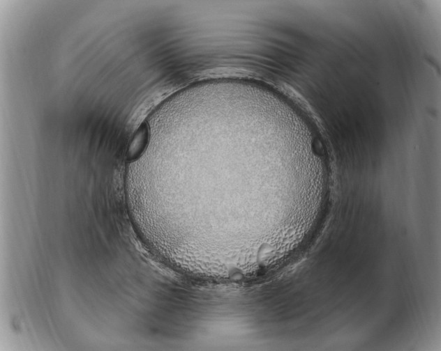 X0000103170937200809121858