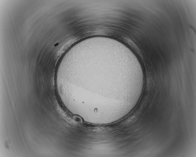 X0000103170938200809121858