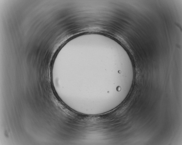 X0000103170939200809121858