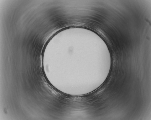 X0000103170940200809121858