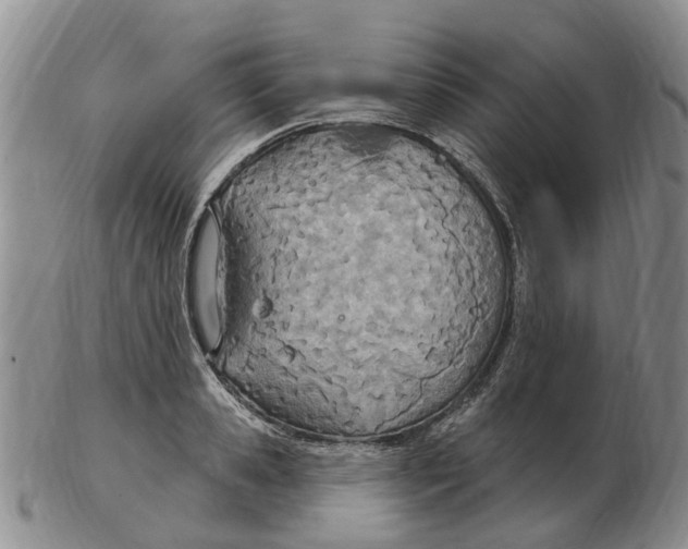 X0000103170941200809121858