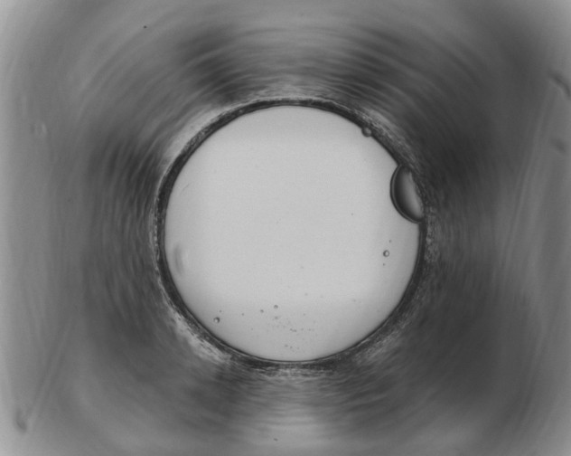 X0000103170942200809121858