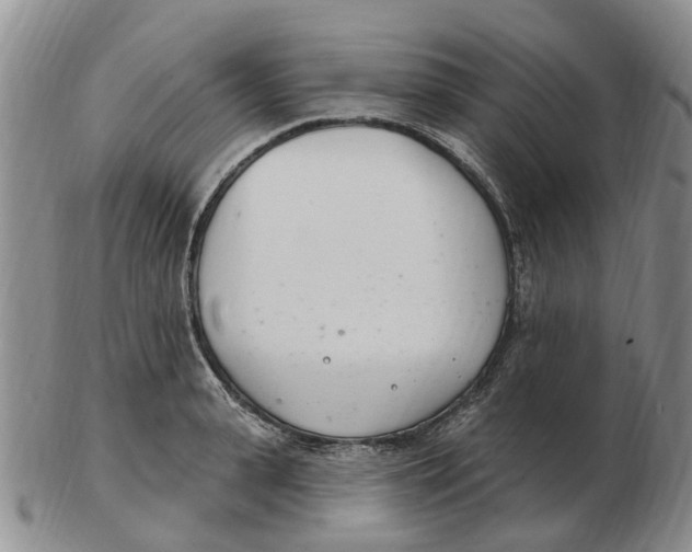 X0000103170943200809121858