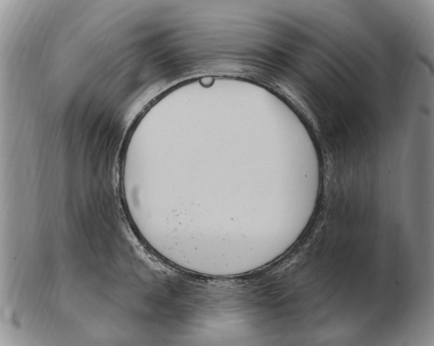 X0000103170944200809121858