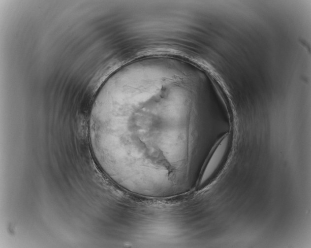 X0000103170945200809121858