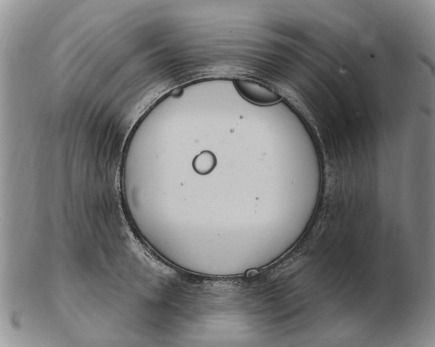 X0000103170946200809121858