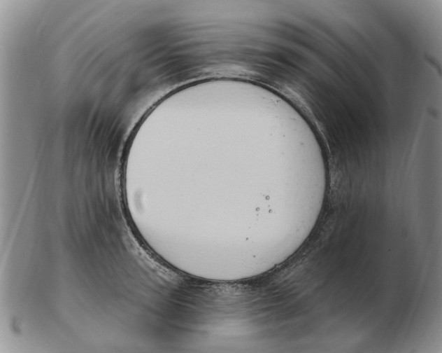 X0000103170947200809121858