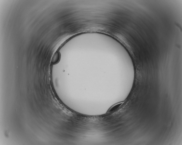 X0000103170948200809121858