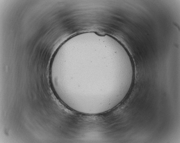 X0000103170949200809121858